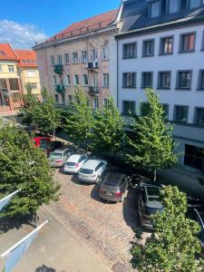 Cozy Apartment in Klaipėda City Centre
