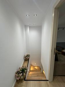 Nevis Room 2