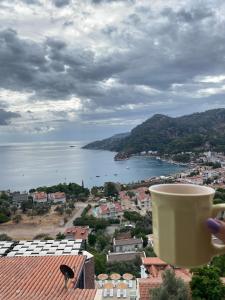 Serena Suites Luxury Sea View Apartment