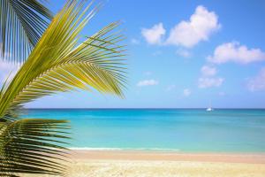 Beachfront Getaway on Perfect Beach - Chateau Monique 3 bed