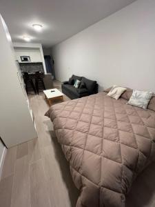 Studio con amenities - Hospital Italiamo 37