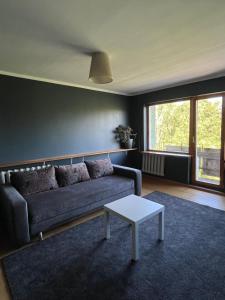 Aluksne city nest