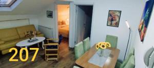 Apartment 207