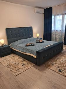 Apartament NECTARIA