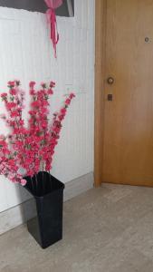 Ischia 233 Holiday Home Grottammare