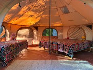 Glamping Tent Tammemäe