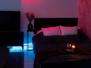 PARKOVY APARTAMENT - Your premium stay in Bydgoszcz City Center