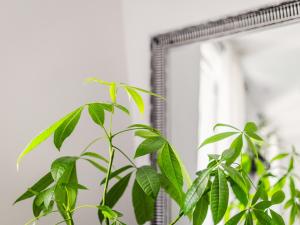 PARKOVY APARTAMENT - Your premium stay in Bydgoszcz City Center