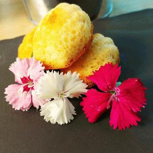 Hotels Hotel Libera Caen Colombelles : photos des chambres