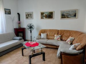 Il Tulipano