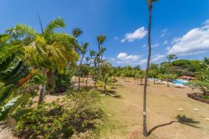 Beachfront with resort pool - Glitter Bay 314