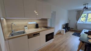 Apartmán Palackého sady - pohoda v srdci města