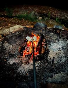 01) Lil Rustic with Hot Tub