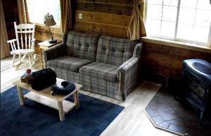 Charming One-Bedroom Cabin Rental Along the Talkeetna River, Alaska