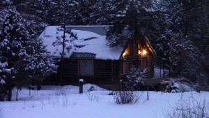 Deluxe Riverfront Cabin Rental near Taos Ski Valley in Questa, New Mexico
