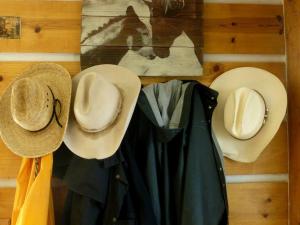 All-Inclusive Cabin Suites on Award-Winning Dude Ranch in Northern Colorado