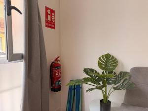 Estudio Playa en Valencia