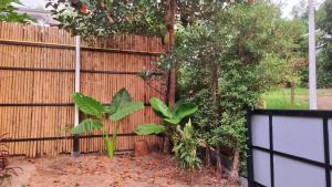Relax and Recharge in a Spacious Jungle House