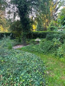 Willa Garbatka Apartament u Artysty