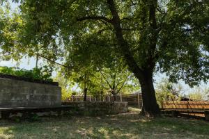 Apartma Severada