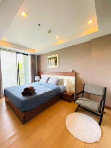 The Astra Cozy Suite