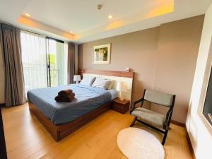 The Astra Cozy Suite