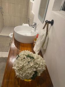 Viola homes
