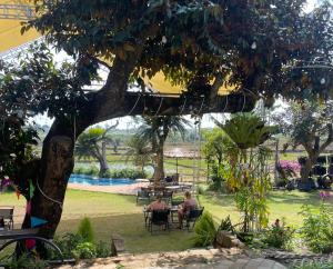 Upes Garden Homestay Bien Ho