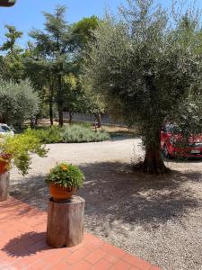 La Corte delle Marche
