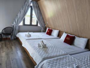 Homestay Windy Dốc Lết