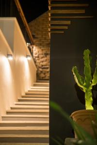 LOTUS suite Luxury hospitality