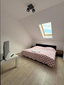 APARTAMENTY - Kłodzka 41