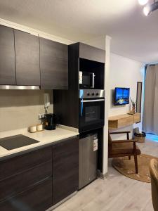 Cozy studio Paseo Bulnes y Moneda metro con Terraza