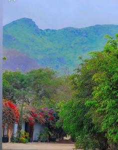 Villa Toribia Pachacamac CasaII