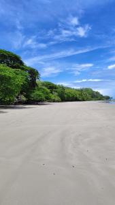 Tierra Viva Ecoproject