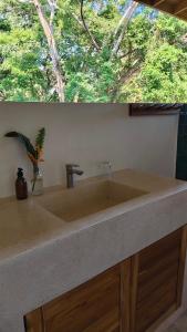 Tierra Viva Ecoproject
