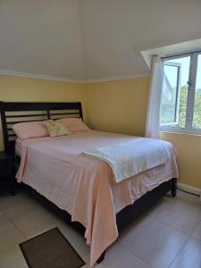 Private Penthouse Rooftop Oasis, Liguanea