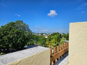 Private Penthouse Rooftop Oasis, Liguanea