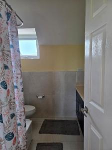 Private Penthouse Rooftop Oasis, Liguanea