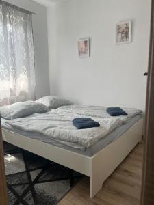 Apartament z ogródkiem Chłopy Jantarowa powierzchnia 60 m2