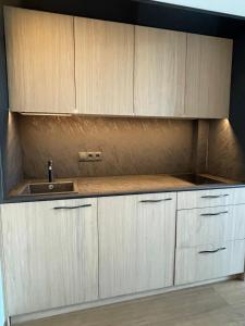 Cozy Apartment in Central Palanga
