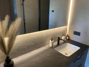 Cozy Apartment in Central Palanga