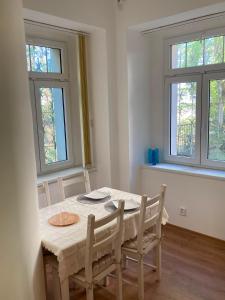 Villa King Jiri Karlovy Vary