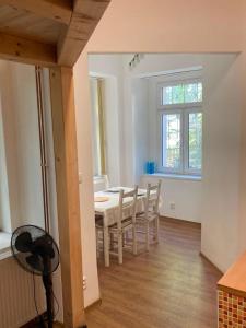 Villa King Jiri Karlovy Vary