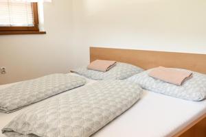 Rodinny apartman pod vlekom A2
