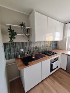 Apartament Wzgórze Wolności