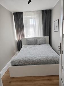 Apartament Wzgórze Wolności