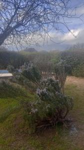 Cabaña Munay 1