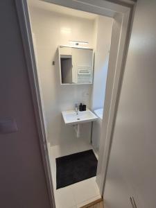 Velký Apartmán v centru města Praha