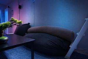120-inch Cinema Apartment near Haneda 7 min to Heiwajima Station